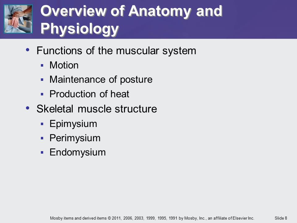 An overview of anatomy and physiology